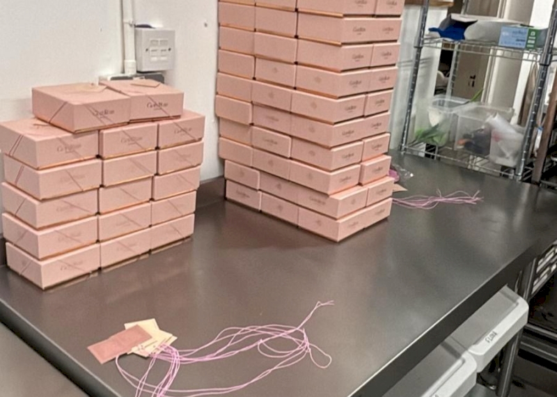 Mobilité à Dublin – Novembre/Décembre 2025 : retour sur une première semaine riche et prometteuse